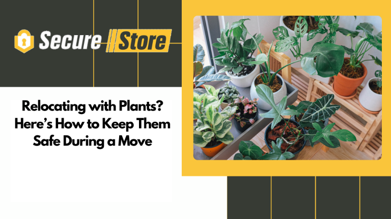 Relocating with Plants? Here’s How to Keep Them Safe During a Move